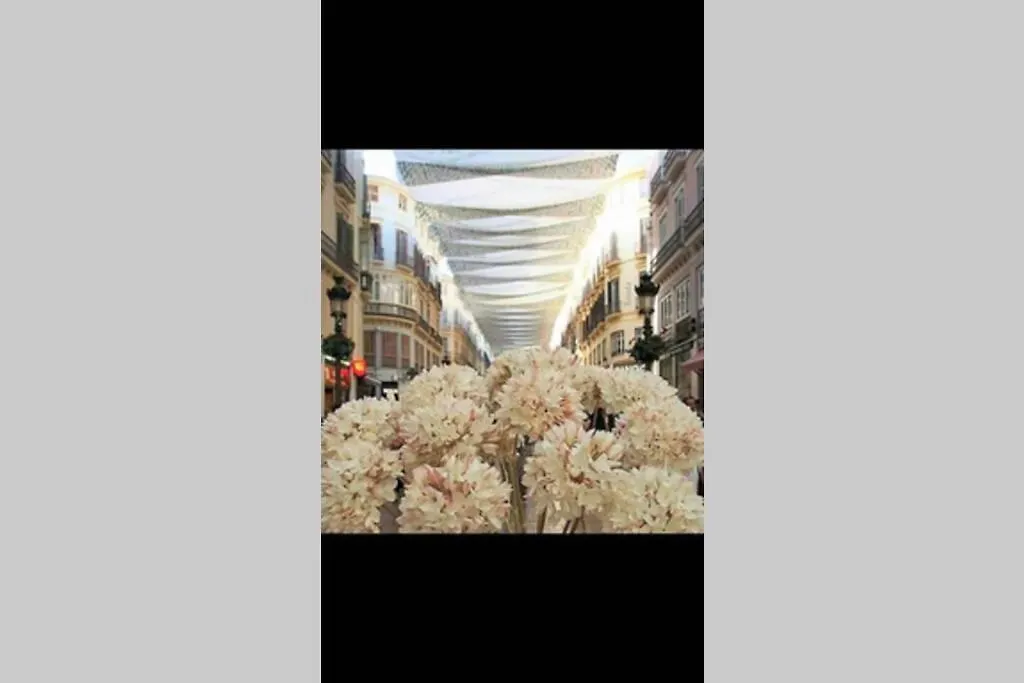 Apartmán Soho10 San Lorenzo Màlaga